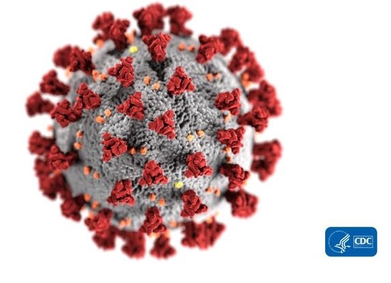 Visualization of the coronavirus