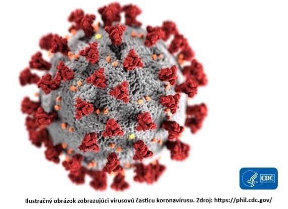 Ilustračný obrázok zobrazujúci vírusovú časticu koronavírus. Zdroj: https://phil.cdc.gov/