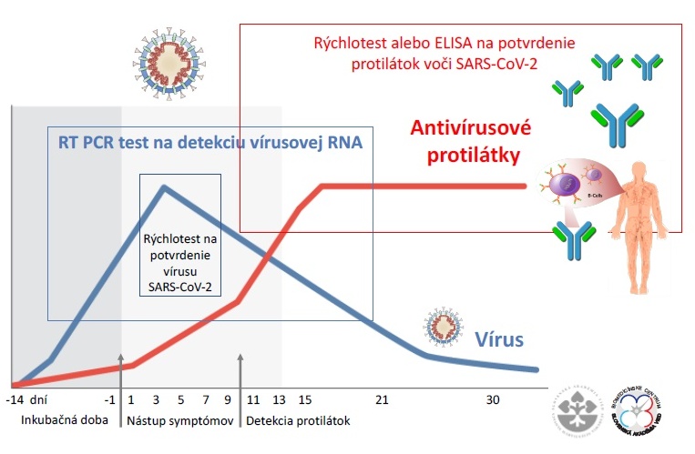 Zjednodušená schéma ukazuje využitie jednotlivých testov vo vzťahu k množeniu vírusu, nástupu symptómov a dynamike imunitnej protilátkovej odpovede organizmu. Časové intervaly a rozsah symptómov závisia od infekčnej dávky vírusu a celkovej zdravotnej kondície infikovaného jedinca.