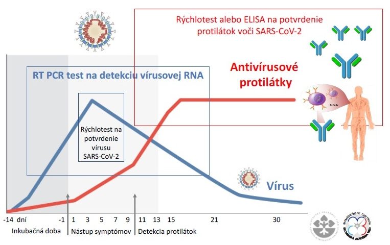 Zjednodušená schéma ukazuje využitie jednotlivých testov vo vzťahu k množeniu vírusu, nástupu symptómov a dynamike imunitnej protilátkovej odpovede organizmu. Časové intervaly a rozsah symptómov závisia od infekčnej dávky vírusu a celkovej zdravotnej kondície infikovaného jedinca.