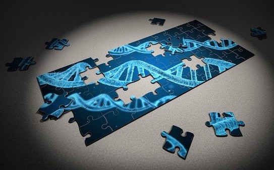 DNA zobrazené formou puzzle