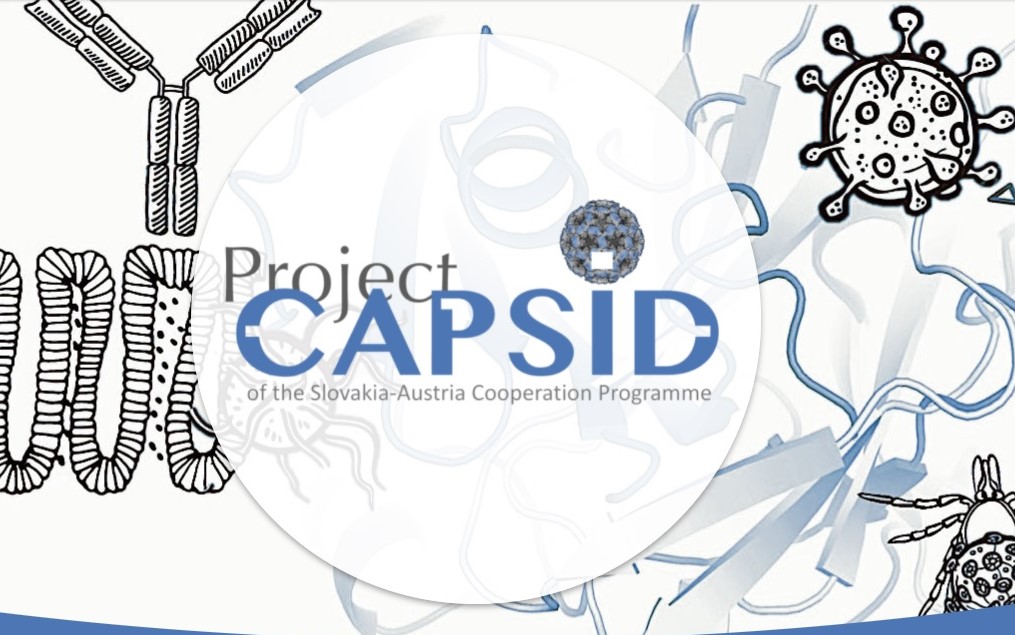 infografika projektu CAPSID