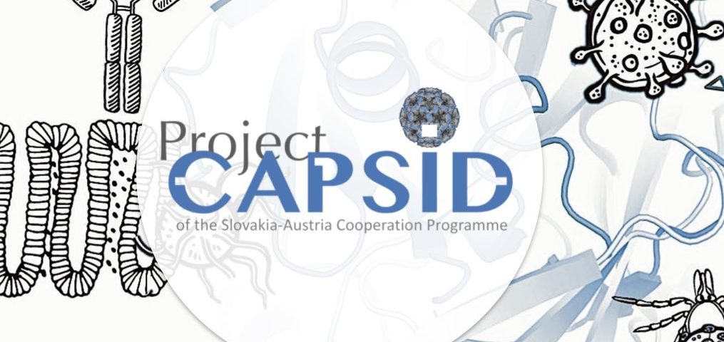 infografika projektu CAPSID
