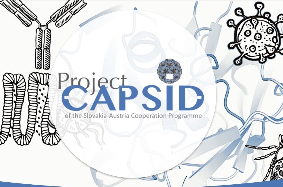 infografika projektu CAPSID