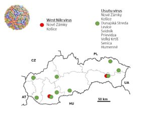 Mapa SR s výsledkami monitoringu komárov.