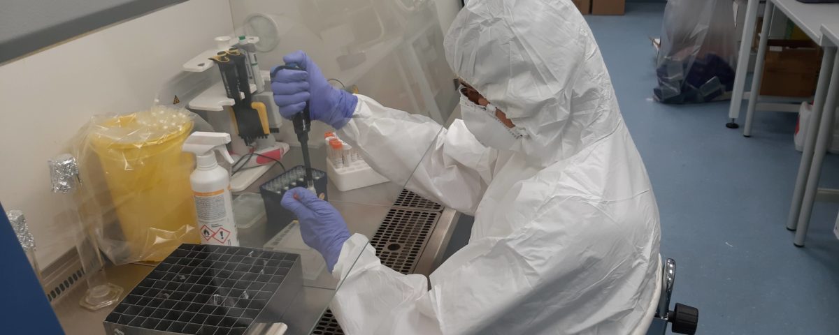 Illustration photo from BSL3 laboratory.