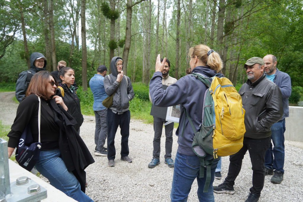 Visit of the Danube flood plains.