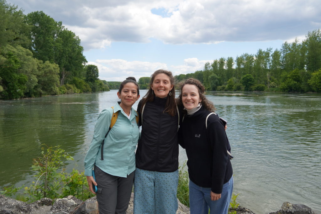 Visit of the Danube flood plains.