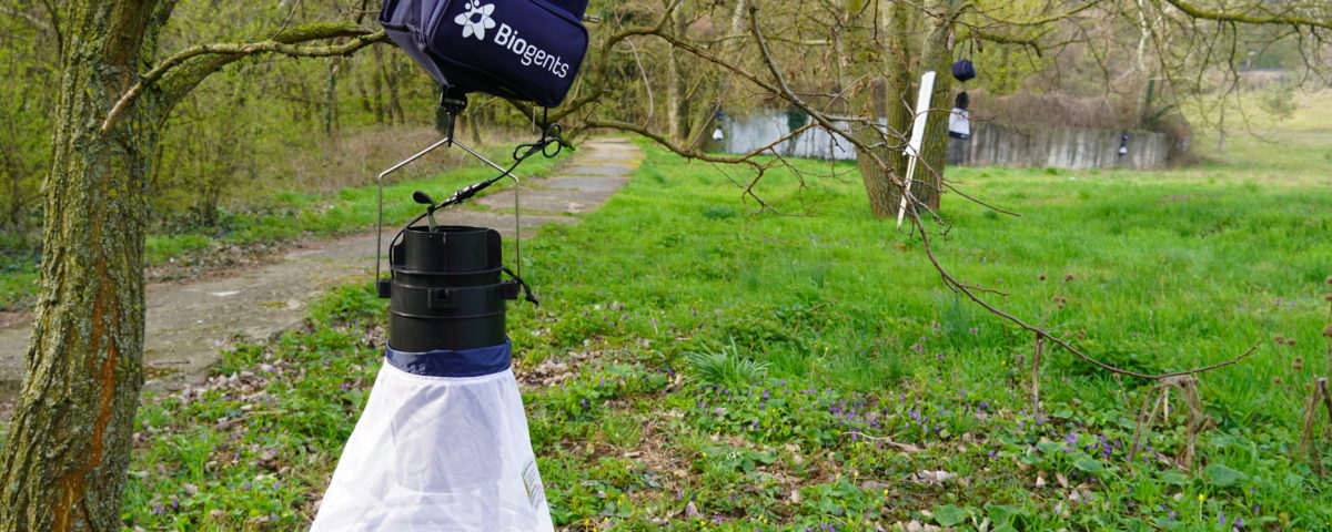 Mosquito trap.