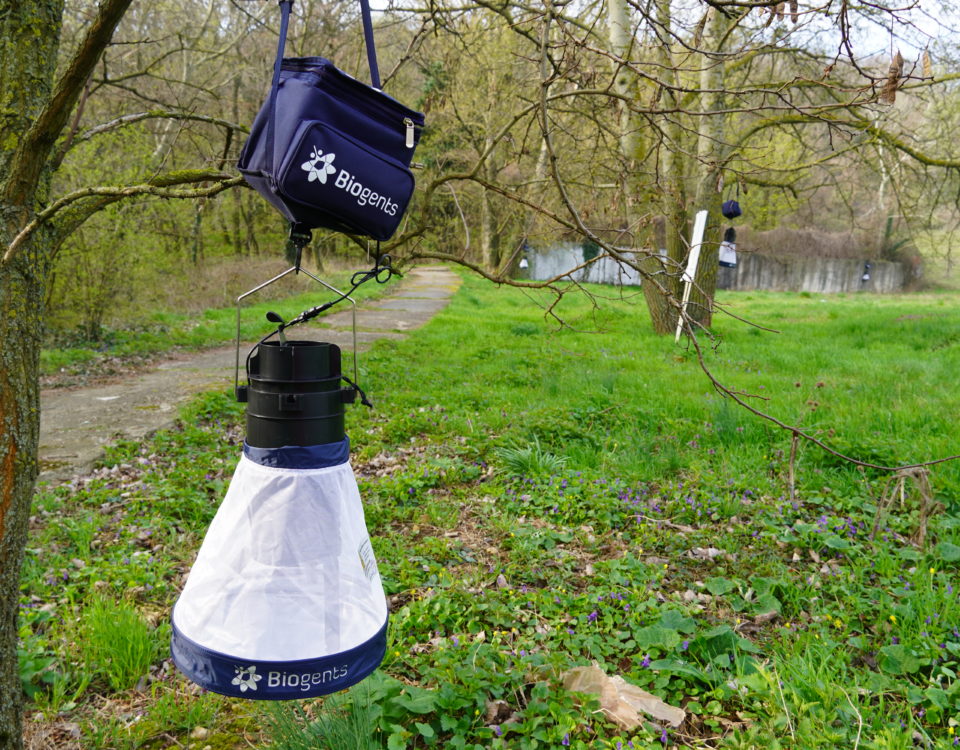 Mosquito trap.