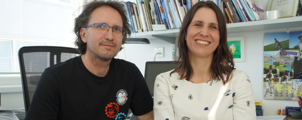 Dr. Jozef Ukropec a prof. Barbara Ukropcová z BMC SAV.