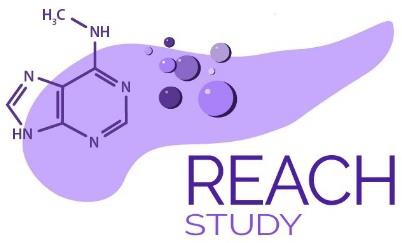logo REACH