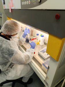 Práca v BSL3 laboratóriu.